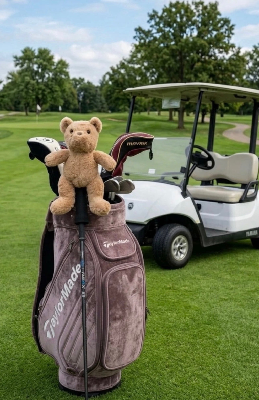Teddy Bear Golf Club Cover