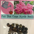 Rare Pink Hopi Crepe Myrtle Seeds SeedPods Package
